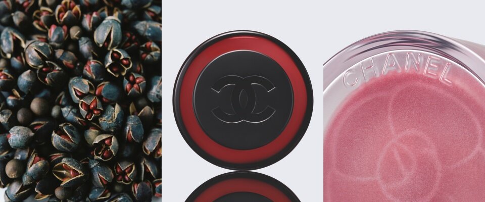 新一代美容產品 N°1 DE CHANEL 實踐可持續發展理念 新一代美容產品 N°1 DE CHANEL 實踐可持續發展理念