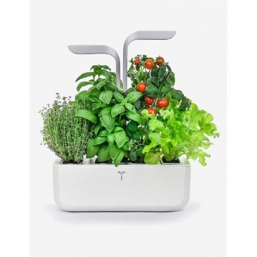 Smart Garden indoor planter