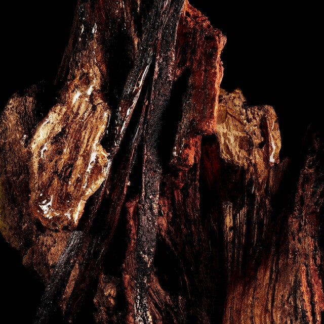 調香大師 Francis Kurkdjian 創作全新 Bois Talisman 香薰 以香氣演繹 Dior 先生的迷信情意結