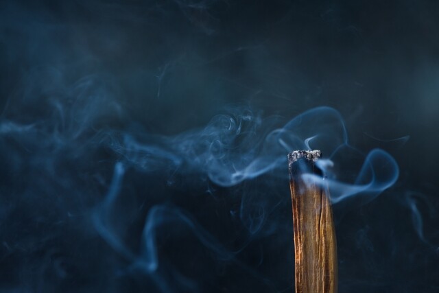 聖木功效用法|聖木的煙色? 聖木功效用法|聖木的煙色?