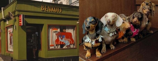 曼谷咖啡店 Benkoff 爆紅！兩位狗店長掀打卡熱潮、「臘腸狗盲盒」被潮人搶購一空！