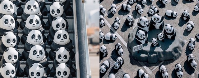 香港熊貓展覽 2024｜巡迴展出 2,500 隻大熊貓雕塑！《PANDA GO！香港遊》12 月登場