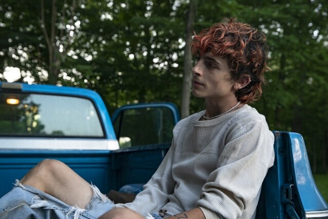 Timothée Chalamet 演活脆弱壞男孩,Mark Rylance 神演繹狂魔 Timothée Chalamet 演活脆弱壞男孩,Mark Rylance 神演繹狂魔