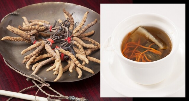 冬蟲夏草功效揭秘！冬蟲夏草怎麼吃？食法、禁忌、副作用一文解答
