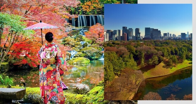 東京紅葉情報 2024｜6 大東京紅葉景點＋紅葉時間預測