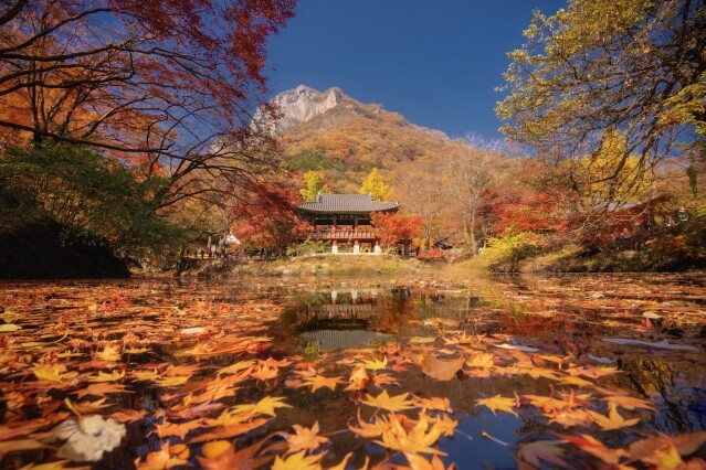 韓國紅葉 2024｜首爾紅葉時間預測出爐！10 大首爾紅葉景點推介