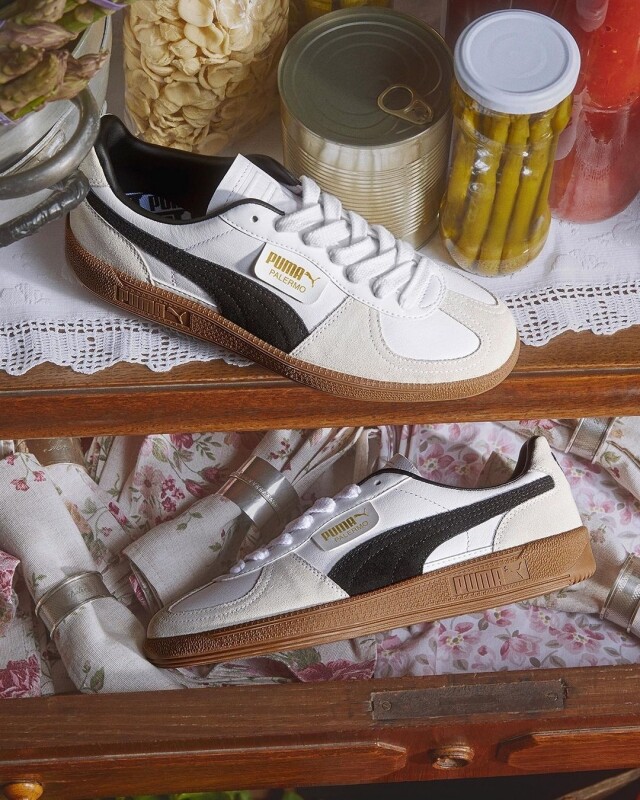 德訓鞋在紅什麼？比小白鞋更時尚有特色，除了 Adidas Samba 還有什麼推薦品牌？