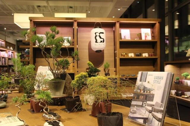 代官山購物攻略：潮人必逛的「東京的 Brooklyn」！隱藏精品店、時尚品牌、咖啡廳、打卡點推薦