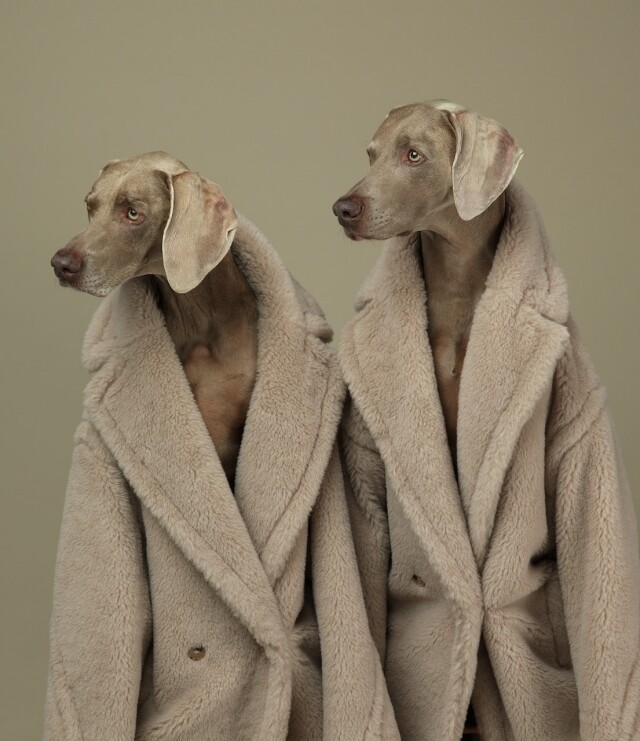 與時裝名人一同探索 MAX MARA Teddy Bear Coat 10週年企劃