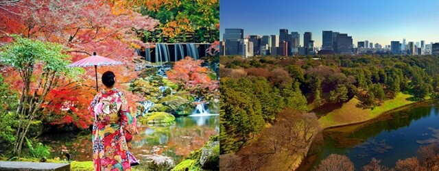 東京紅葉情報 2024|6 大東京紅葉景點+紅葉時間預測 東京紅葉情報 2024|6 大東京紅葉景點+紅葉時間預測
