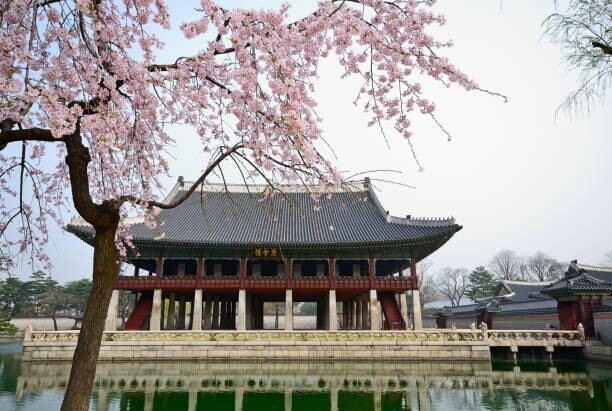 首爾櫻花攻略 2025|首爾櫻花時間預測!9 大首爾賞櫻景點推介 首爾櫻花攻略 2025|首爾櫻花時間預測!9 大首爾賞櫻景點推介