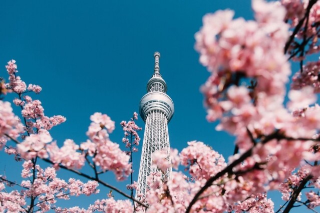 日本東京天氣預報｜最新東京即時天氣 + 全年四季東京衣著穿搭建議！