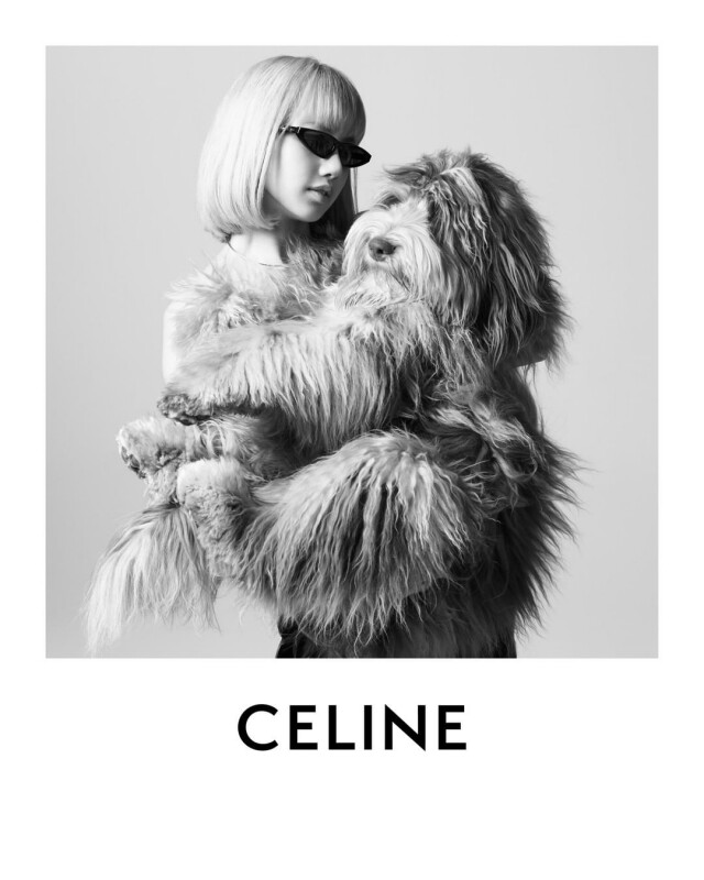 Celine 名牌寵物配件