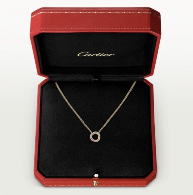 Jisoo 再度成為卡地亞廣告主角!Cartier Trinity 系列珠寶入門價錢及款式推薦 Jisoo 再度成為卡地亞廣告主角!Cartier Trinity 系列珠寶入門價錢及款式推薦