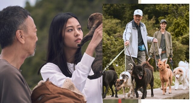 《得寵先生》影評|被遺棄與被愛的故事，鄭丹瑞與狗狗互動令人感動