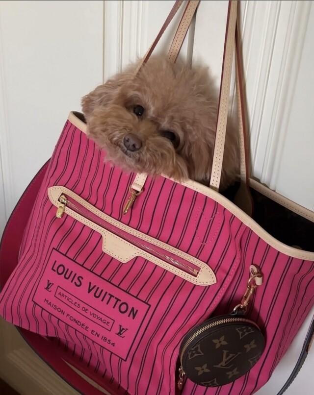 LV 經典大熱奶粉袋 Neverfull 人氣不減！實用度超高「奶粉袋」始祖香港價錢