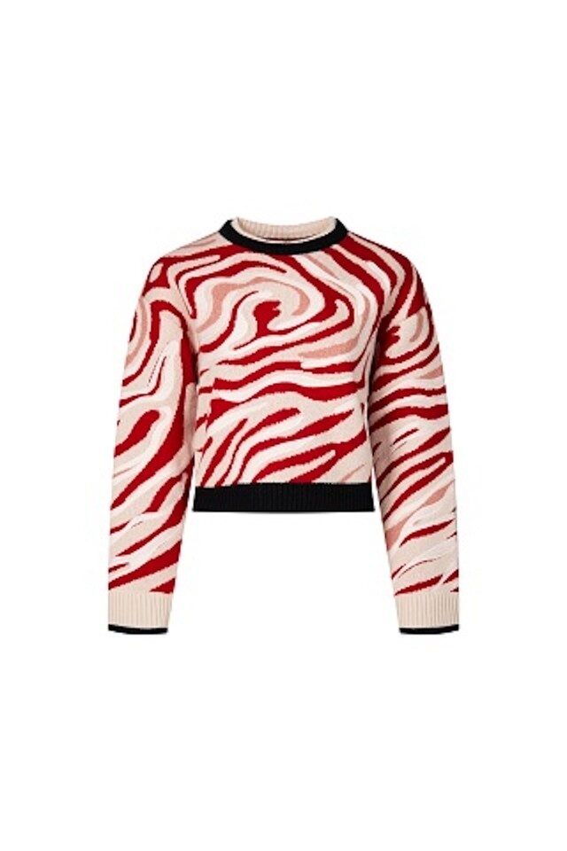 Ports 1961 紅色虎紋圖案針織上衣