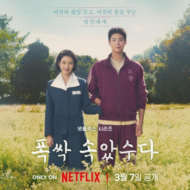 2025 必看治癒系韓劇！Netflix《苦盡柑來遇見你》IU、朴寶劍高顏值 CP 譜純愛戀曲