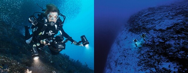 守護海洋的永恆使命!勞力士「保護地球 · 恒動不息」計劃 以自然科學修復海洋 守護海洋的永恆使命!勞力士「保護地球 · 恒動不息」計劃 以自然科學修復海洋