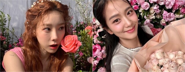 情人節送花攻略｜玫瑰花顏色、數量、花語含意！玫瑰花該送幾朵？
