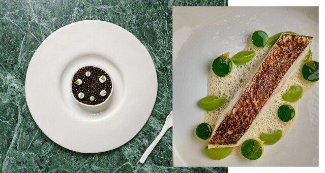 BAZAAR TASTE ELITE 20 | HONG KONG 2024：意大利滋味ESTRO
