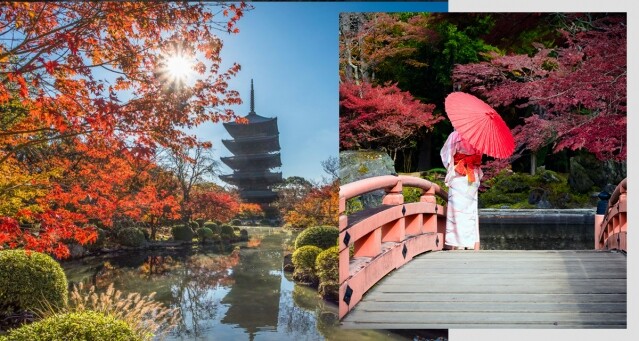京都紅葉 2024｜京都紅葉時間預測！最佳觀賞景點及交通攻略