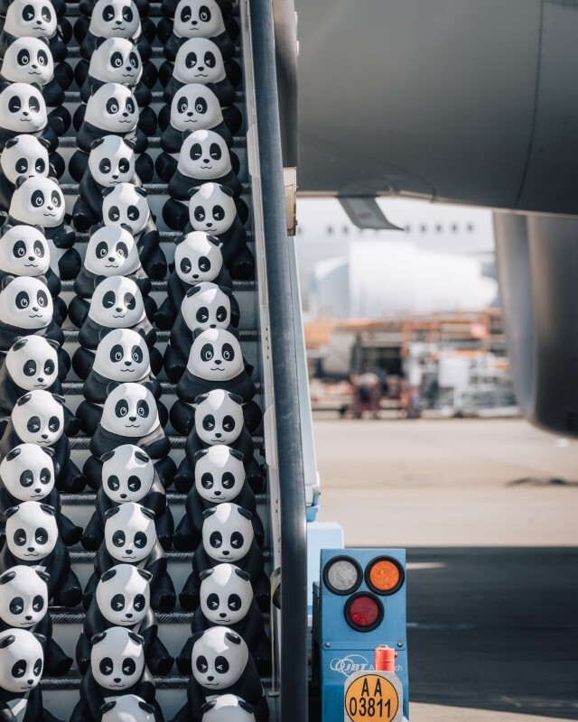 香港熊貓展覽 2024｜巡迴展出 2,500 隻大熊貓雕塑！《PANDA GO！香港遊》12 月登場
