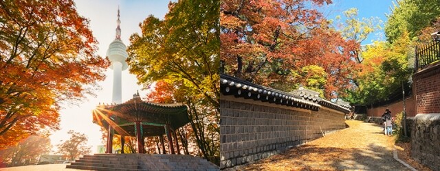 韓國紅葉 2024｜首爾紅葉時間預測出爐！10 大首爾紅葉景點推介