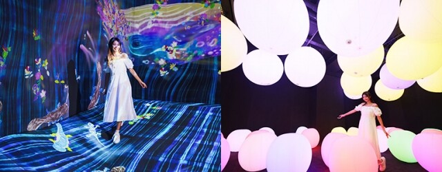 teamLab 香港 6 大必影打卡位攻略！日期、開放時間、門票優惠、票價、預約懶人包