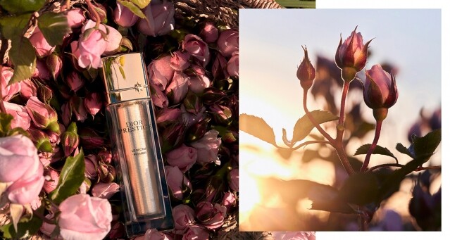 以專利配方逆轉肌齡！DIOR 玫瑰花蜜極緻再生修護精華，從根源擊退衰老訊號