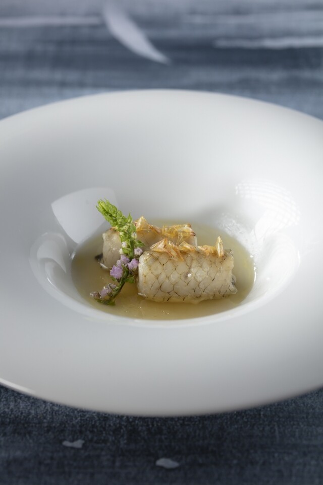 BAZAAR TASTE ELITE 10 | MACAO 2025：「淮揚菜教父」主理淮揚曉宴