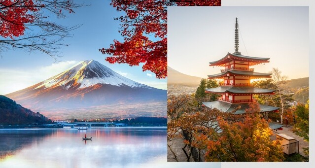 日本紅葉情報 2024｜日本紅葉時間預測！北海道、東京、京都、大阪四地賞楓攻略