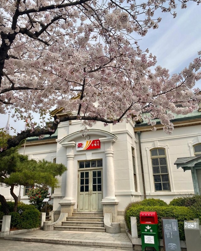 釜山櫻花 2025|最新釜山櫻花時間預測!8 大釜山櫻花景點推介 釜山櫻花 2025|最新釜山櫻花時間預測!8 大釜山櫻花景點推介
