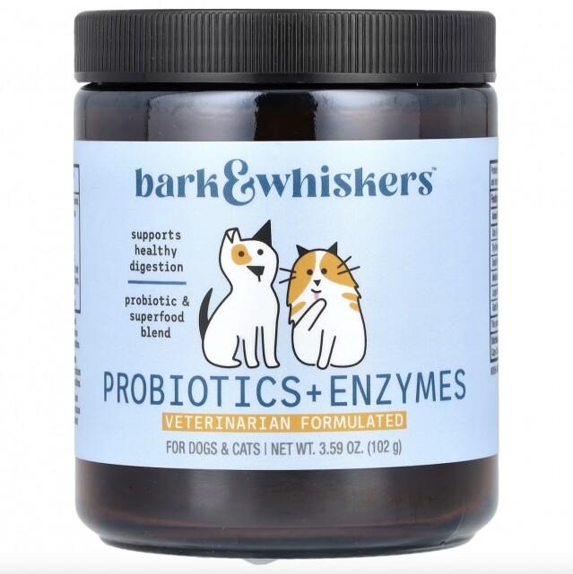 貓益生菌推薦 2025｜貓益生菌功效/攝取量/加分成分一文看！守護貓咪腸胃健康兼增強免疫力