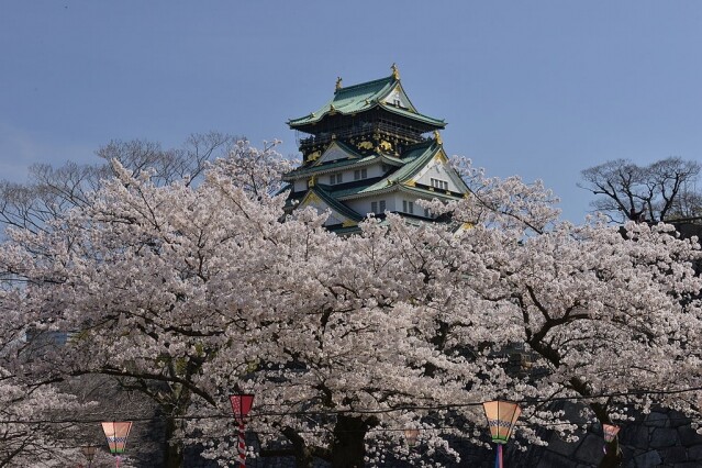 大阪城天守閣門票