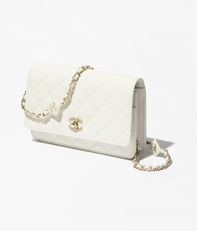 Chanel 手袋 2025 春夏預告系列搶先看 | 新款 Chanel 22、Flag Bag、Hobo Bag 全上架，款式價錢一次過公開