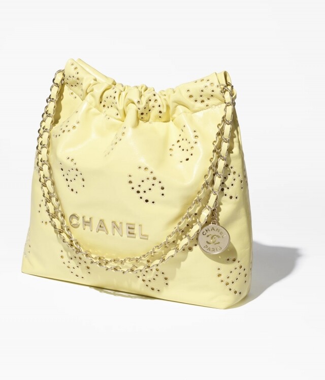 Chanel 手袋 2025 春夏預告系列搶先看 | 新款 Chanel 22、Flag Bag、Hobo Bag 全上架，款式價錢一次過公開