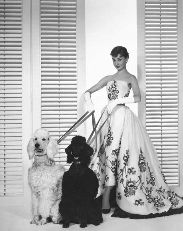 超越愛情的繆斯!Hubert de Givenchy 與 Muse Audrey Hepburn 的柏拉圖式關係 超越愛情的繆斯!Hubert de Givenchy 與 Muse Audrey Hepburn 的柏拉圖式關係