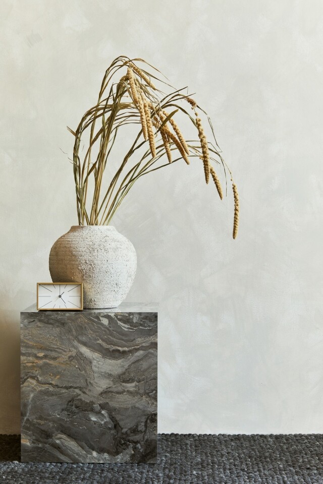 Wabi-sabi 侘寂風格：植物