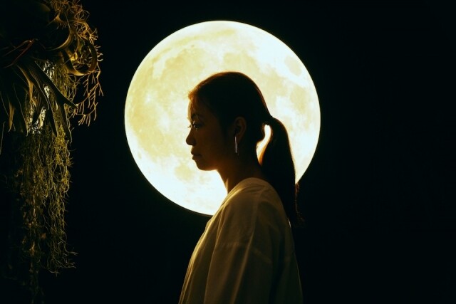 香港藝術月重點展覽之一：《月逝無聲》