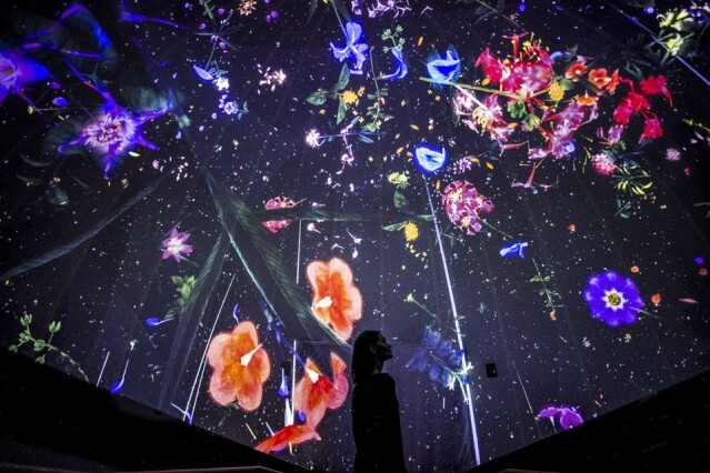 「夢幻藝術團隊」teamLab 背後鮮為人知的事