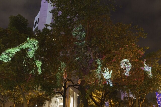 美國藝術家 Tony Oursler 把影像投射到香港藝術中心外的樹木上。
