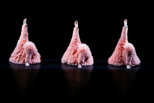 《蓬蓬》由 Chicos Mambo 舞團的 6 位舞者合力演出，是富節奏感與幽默感的舞步。