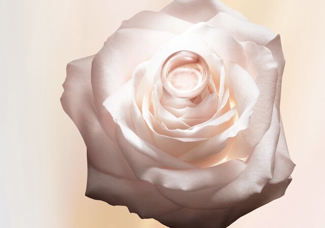 Dior 首次揭示玫瑰嫩枝凝露強大的修護力量