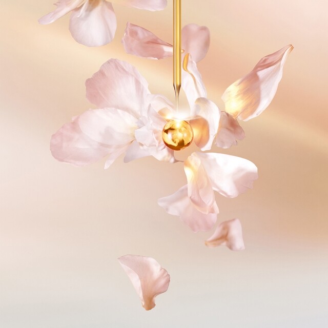 Dior 玫瑰花蜜系列採用格蘭玫瑰精華