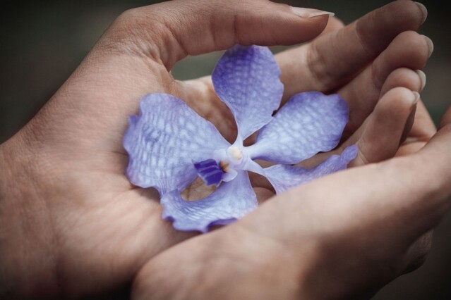 蘭花專家GUERLAIN凝駐時光 揭開蘭花絕妙的駐顏力量 蘭花專家GUERLAIN凝駐時光 揭開蘭花絕妙的駐顏力量