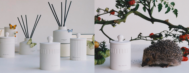 將英倫生活哲學帶回家!Jo Malone London 白瓷工藝居室系列瞬間提升家居品味 將英倫生活哲學帶回家!Jo Malone London 白瓷工藝居室系列瞬間提升家居品味