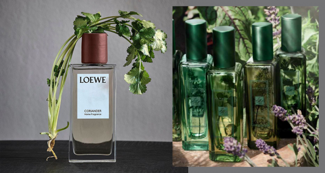 Loewe、Jo Malone芫茜香水極好聞！其他芫茜香氛產品網購推薦