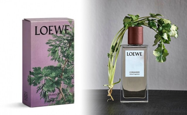 Loewe 2020 居家香氛系列﹕芫茜香氛