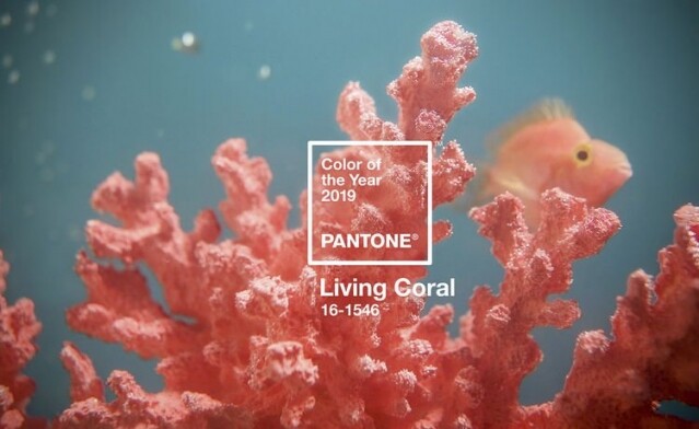 Pantone 剛剛公布 2019 年度色是 #16-1546 Living Coral 活珊瑚橘色